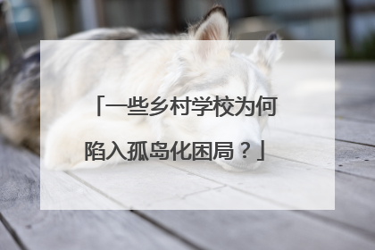 一些乡村学校为何陷入孤岛化困局？