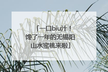 一口biu汁！馋了一年的无锡阳山水蜜桃来啦