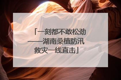 一刻都不敢松劲——湖南桑植防汛救灾一线直击