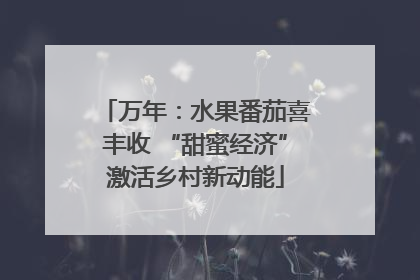 万年：水果番茄喜丰收 “甜蜜经济”激活乡村新动能