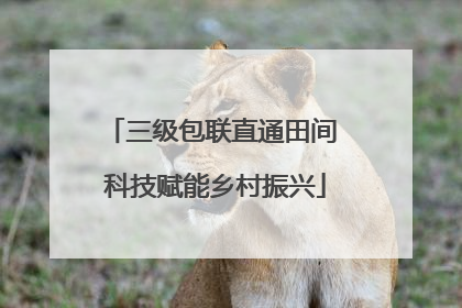 三级包联直通田间 科技赋能乡村振兴