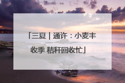 三夏｜通许：小麦丰收季 秸秆回收忙