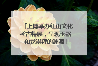 上博举办红山文化考古特展，呈现玉器和龙崇拜的渊源