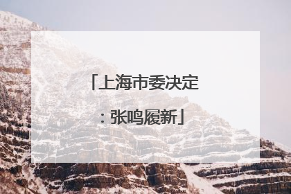 上海市委决定：张鸣履新