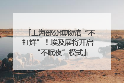 上海部分博物馆“不打烊”！埃及展将开启“不眠夜”模式