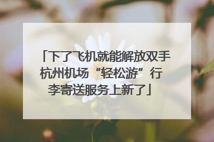 下了飞机就能解放双手 杭州机场“轻松游”行李寄送服务上新了