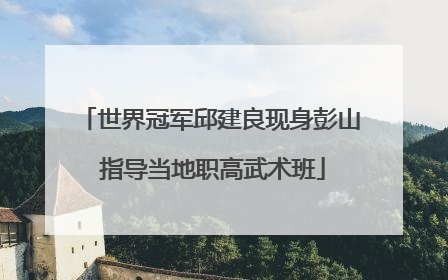 世界冠军邱建良现身彭山 指导当地职高武术班