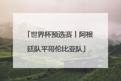 世界杯预选赛丨阿根廷队平哥伦比亚队