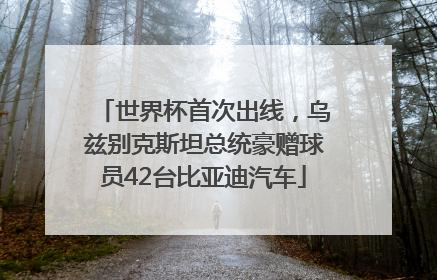 世界杯首次出线，乌兹别克斯坦总统豪赠球员42台比亚迪汽车