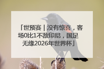 世预赛｜没有惊喜，客场0比1不敌印尼，国足无缘2026年世界杯