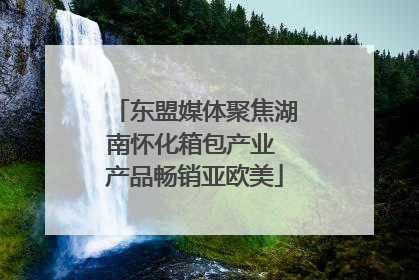 东盟媒体聚焦湖南怀化箱包产业 产品畅销亚欧美