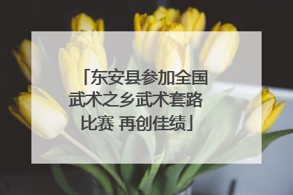 东安县参加全国武术之乡武术套路比赛 再创佳绩