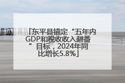 东平县锚定“五年内GDP和税收收入翻番”目标，2024年同比增长5.8%