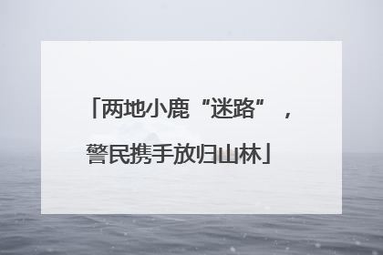两地小鹿“迷路”，警民携手放归山林