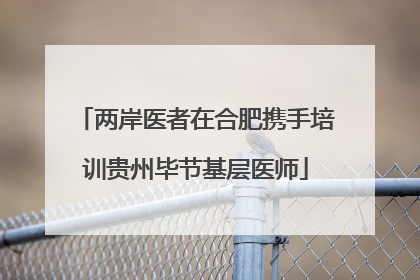 两岸医者在合肥携手培训贵州毕节基层医师