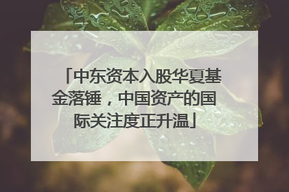 中东资本入股华夏基金落锤，中国资产的国际关注度正升温
