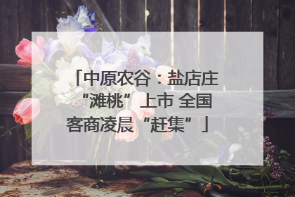 中原农谷：盐店庄“滩桃”上市 全国客商凌晨“赶集”