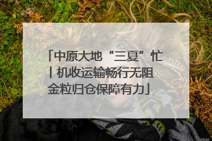 中原大地“三夏”忙丨机收运输畅行无阻 金粒归仓保障有力