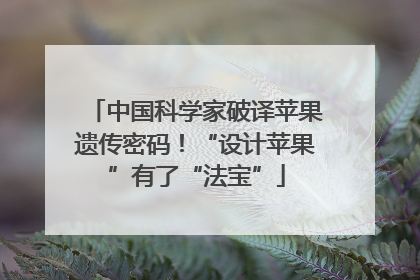 中国科学家破译苹果遗传密码！“设计苹果”有了“法宝”