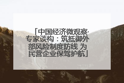 中国经济微观察·专家谈构：筑抵御外部风险制度防线 为民营企业保驾护航