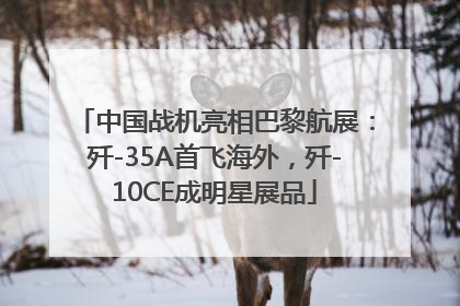 中国战机亮相巴黎航展：歼-35A首飞海外，歼-10CE成明星展品