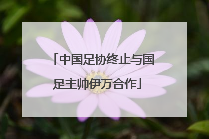 中国足协终止与国足主帅伊万合作