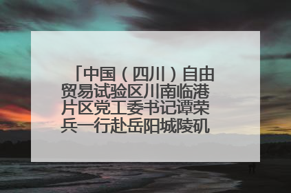 中国（四川）自由贸易试验区川南临港片区党工委书记谭荣兵一行赴岳阳城陵矶综保区考察