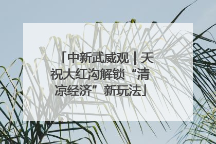 中新武威观｜天祝大红沟解锁“清凉经济”新玩法