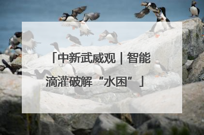 中新武威观｜智能滴灌破解“水困”