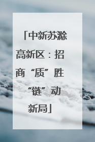 中新苏滁高新区：招商“质”胜 “链”动新局