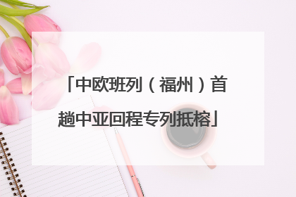 中欧班列（福州）首趟中亚回程专列抵榕