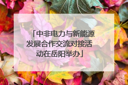 中非电力与新能源发展合作交流对接活动在岳阳举办