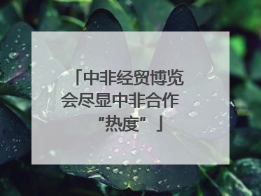 中非经贸博览会尽显中非合作“热度”