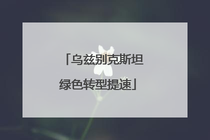 乌兹别克斯坦绿色转型提速