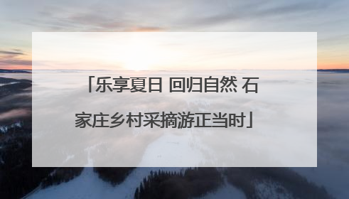 乐享夏日 回归自然 石家庄乡村采摘游正当时