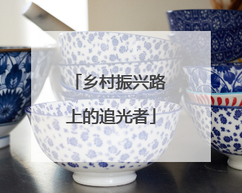 乡村振兴路上的追光者