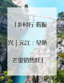 乡村行 看振兴｜元江：早熟芒果销售旺