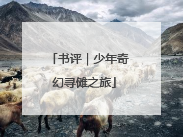 书评｜少年奇幻寻傩之旅