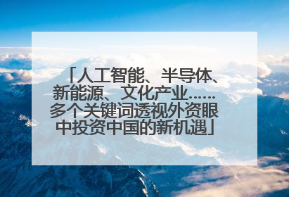 人工智能、半导体、新能源、文化产业……多个关键词透视外资眼中投资中国的新机遇