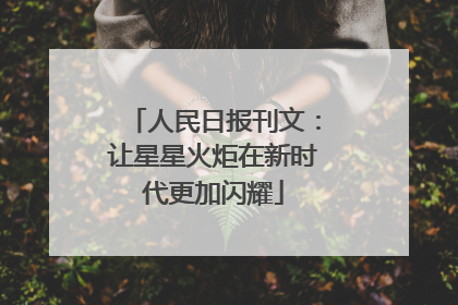 人民日报刊文：让星星火炬在新时代更加闪耀