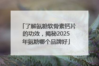 了解氨糖软骨素钙片的功效，揭秘2025年氨糖哪个品牌好