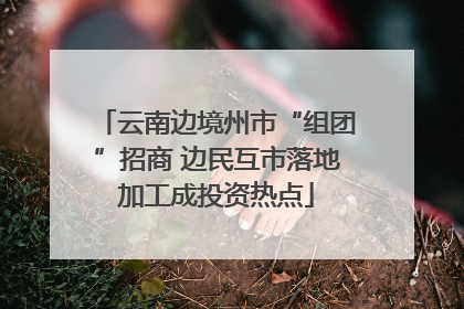云南边境州市“组团”招商 边民互市落地加工成投资热点