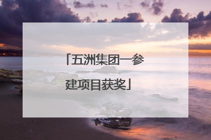 五洲集团一参建项目获奖