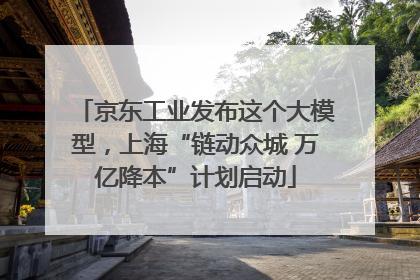 京东工业发布这个大模型，上海“链动众城 万亿降本”计划启动