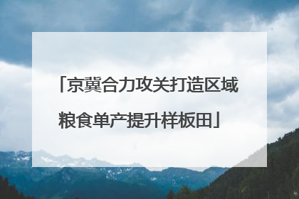 京冀合力攻关打造区域粮食单产提升样板田