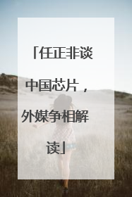 任正非谈中国芯片，外媒争相解读