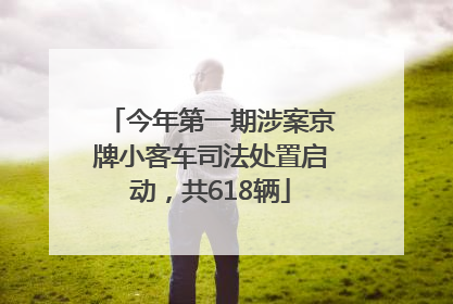 今年第一期涉案京牌小客车司法处置启动，共618辆