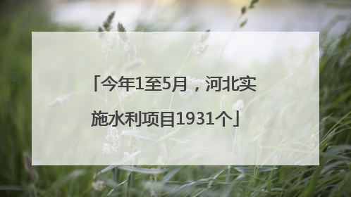 今年1至5月，河北实施水利项目1931个