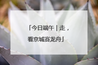 今日端午｜走，看京城赛龙舟