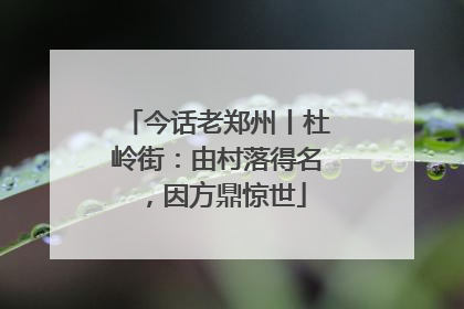 今话老郑州丨杜岭街：由村落得名，因方鼎惊世